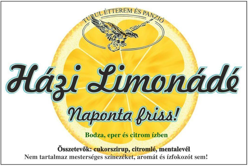 Turul Etterem Es Panzio Hotel Kaposvár Екстериор снимка